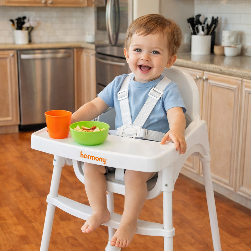 2-in-1-High-Chair_2